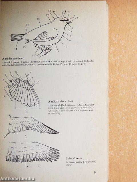Magyarország madarainak határozója