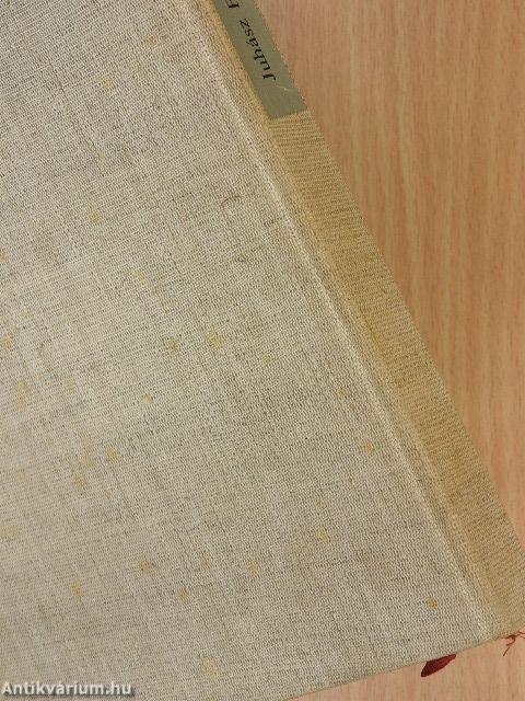 Mit tehet a költő?