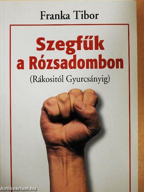 Szegfűk a Rózsadombon