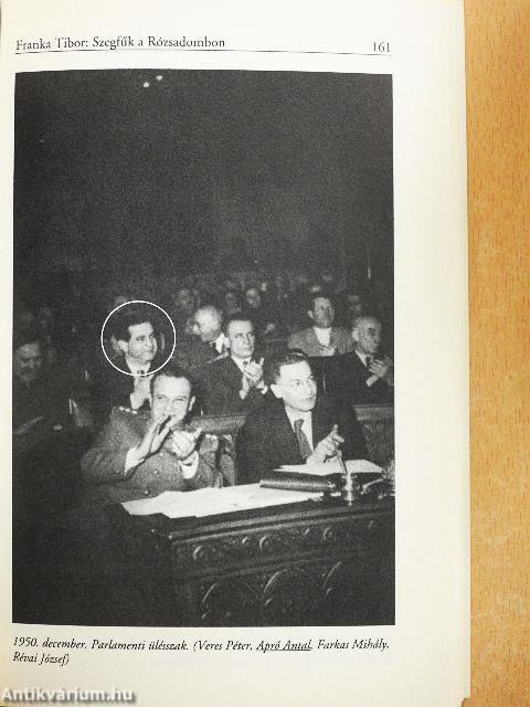 Szegfűk a Rózsadombon