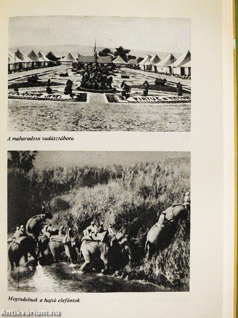 Vadászélmények távoli földrészeken