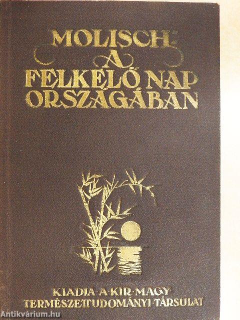 A felkelő nap országában