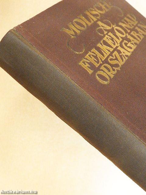 A felkelő nap országában