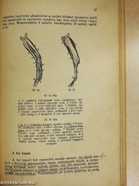 Háziállatok anatomiája és élettana gazdák számára