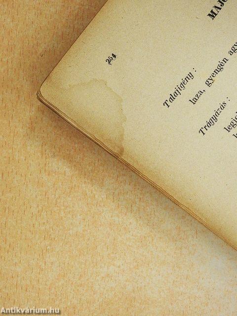 A konyhakerti termények okszerű termesztése