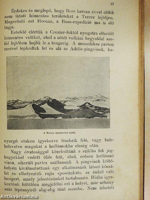 Angolok a déli sarkvidéken