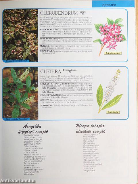 Díszfák és díszcserjék