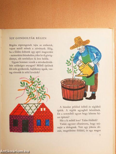 Miért van levél a fákon?