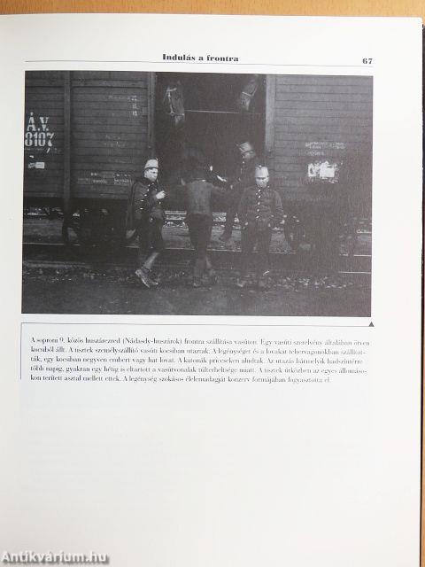 Szarajevó, Doberdó, Trianon