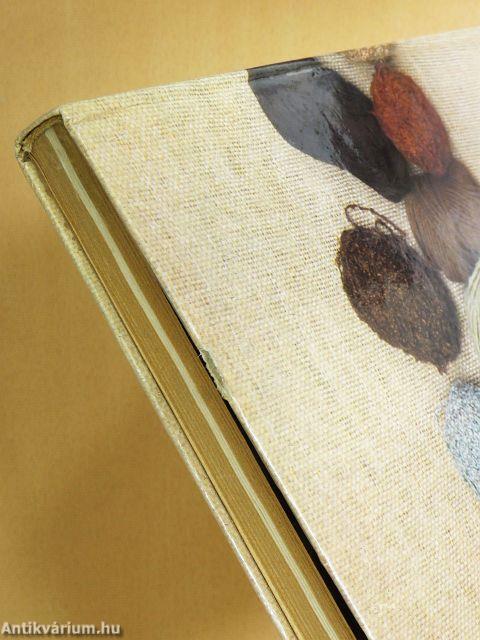 Aranykéz kötésmintakönyv