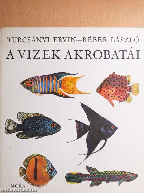 A vizek akrobatái