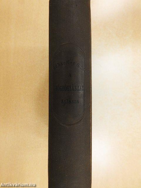 A gynaecologia alapvonalai atlaszszal