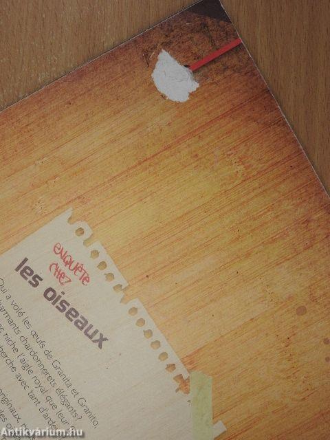 Enquete chez les oiseaux