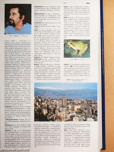 Magyar Larousse Enciklopédia 1-3.