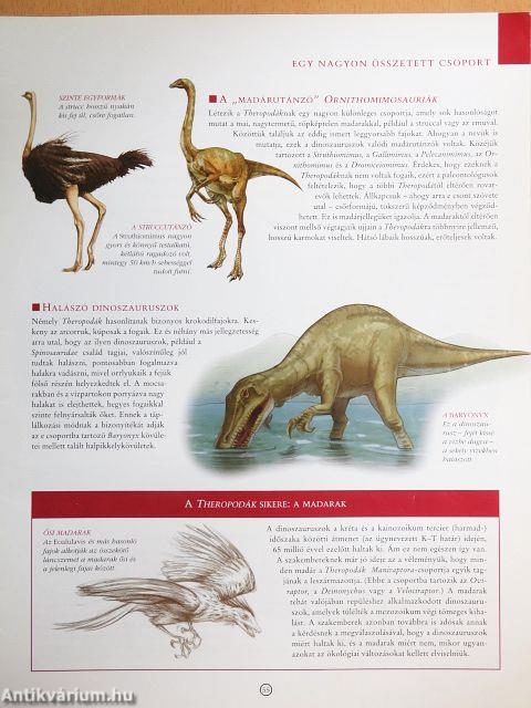 Dinoszauruszok 2008/4.