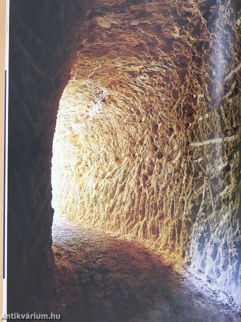 Harvard Business Review 2009. május