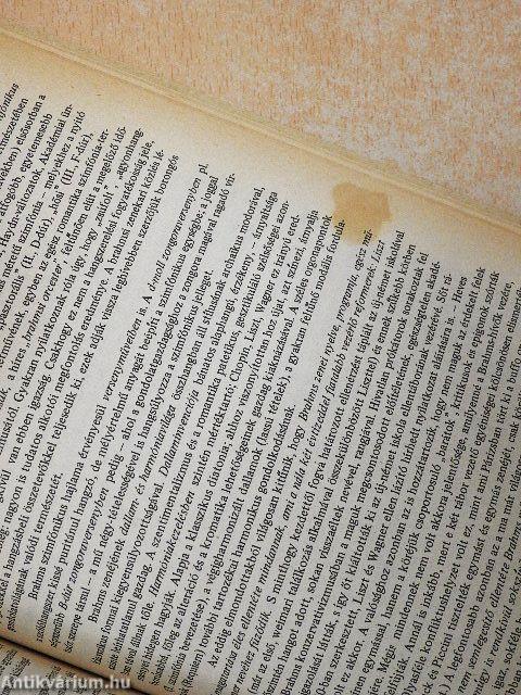 A romantikus zene története