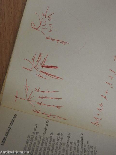 A tizenkét éves felnőtt