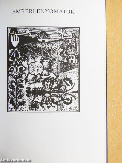 Árnyék és glória