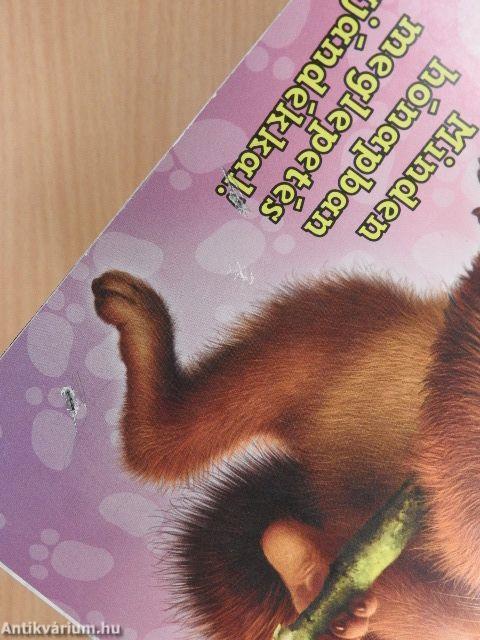 Suli Tappancs másodikosoknak 177.