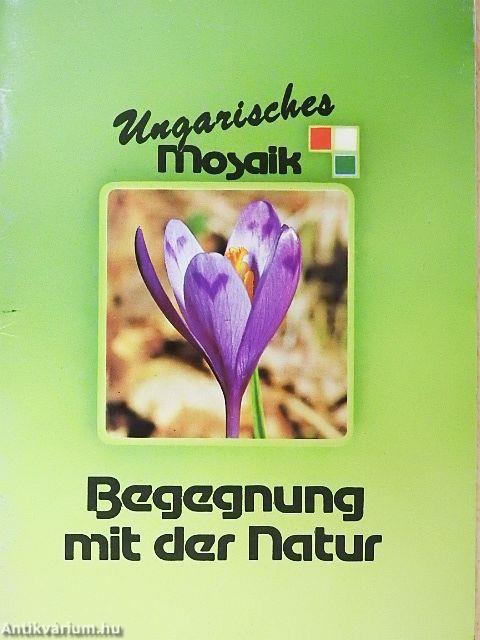 Begegnung mit der Natur