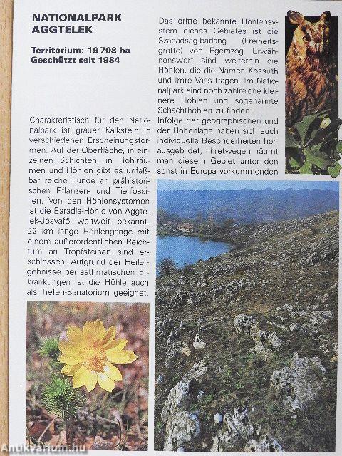 Begegnung mit der Natur