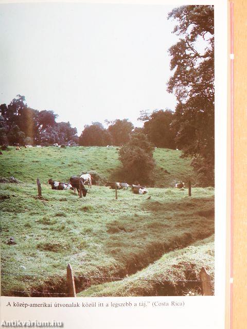 A Vén Patagóniai Expressz