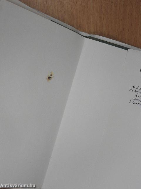 A titokzatos jelbeszéd