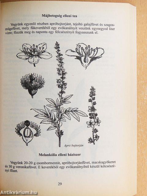 Gyógynövények mint háziszerek