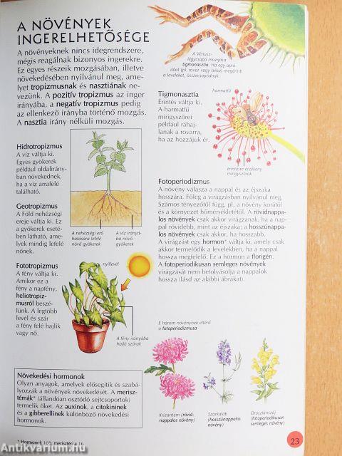 Biológia képes szótár