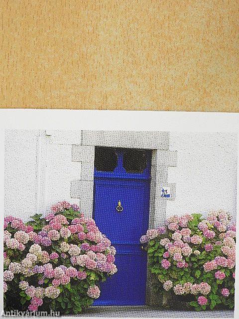 Durch die Freundschaft verbunden