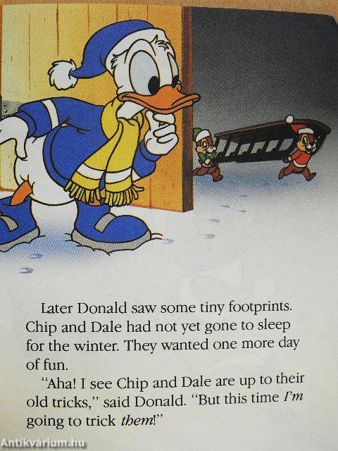 Chip 'n' Dale's Book of Seasons