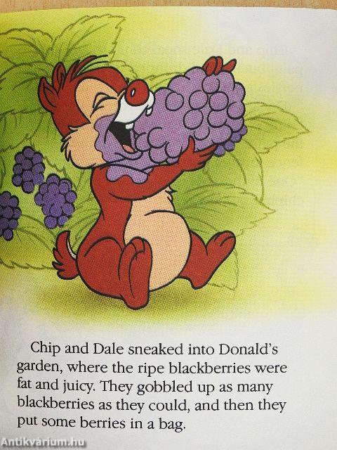 Chip 'n' Dale's Book of Seasons