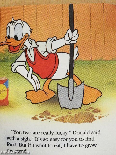 Chip 'n' Dale's Book of Seasons