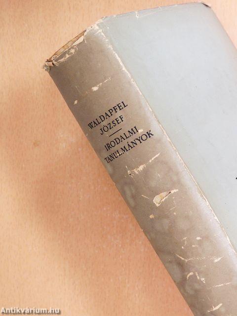 Irodalmi tanulmányok