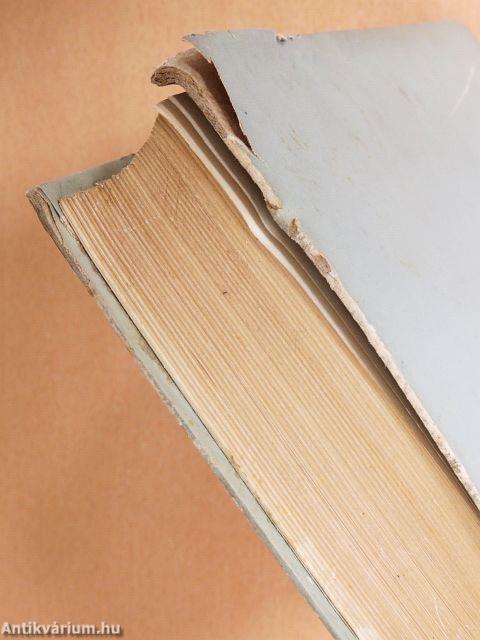 Irodalmi tanulmányok