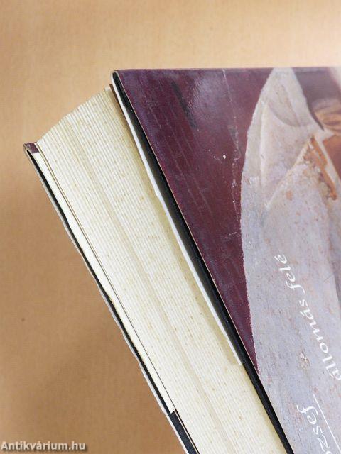 Utazás ismeretlen állomás felé 1849-1856