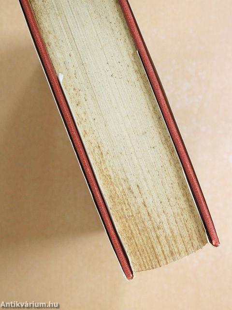 A Vörös Szoba álma