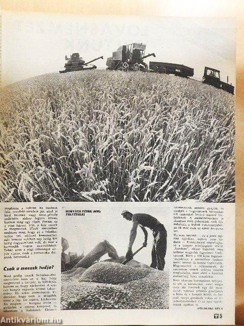 Új tükör 1976 (nem teljes évfolyam)