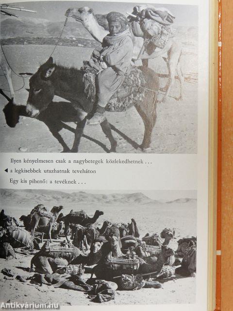 Nomádok közt Afganisztánban