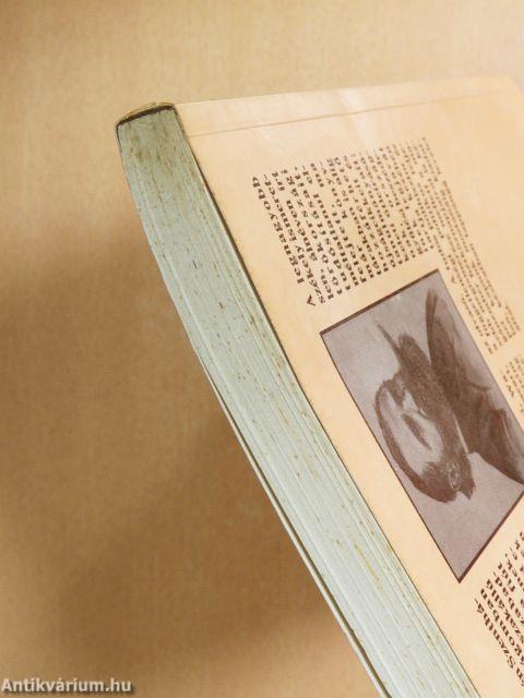 Sztambultól Szejkéig