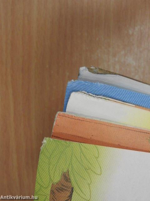 Chip 'n' Dale's Book of Seasons