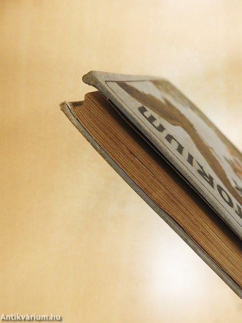 Sanatorium Naptár 1910