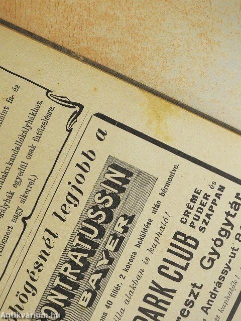 Sanatorium Naptár 1910