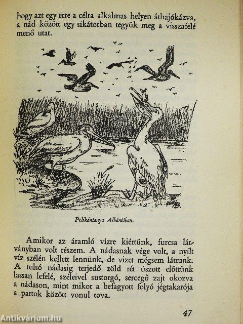 Vízen és vízparton