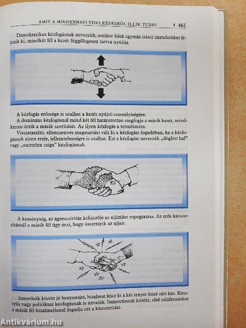 A kommunikáció alapjai