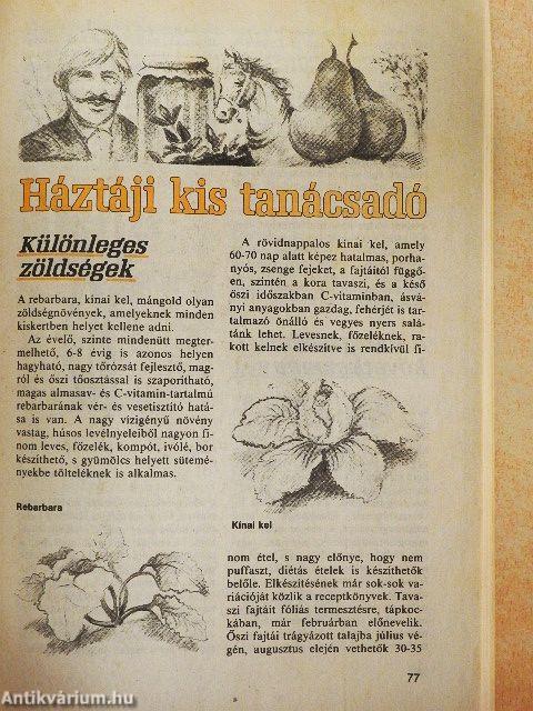 Kincses Kalendárium 1993