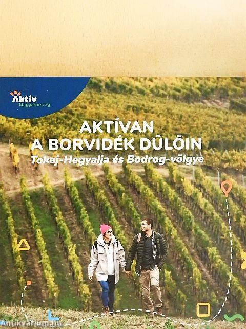 Aktívan a borvidék dűlőin