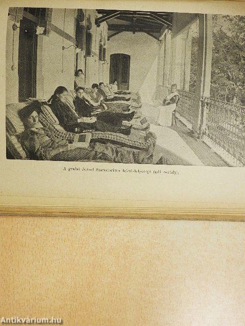 Sanatorium Naptár 1908