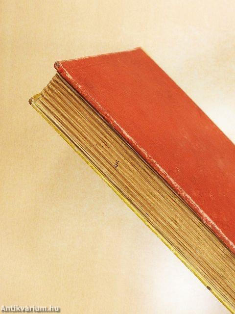 Kislányok a Nagyvárosban